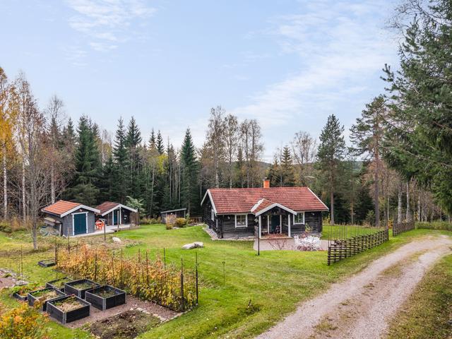 Välkommen till Risås 141!