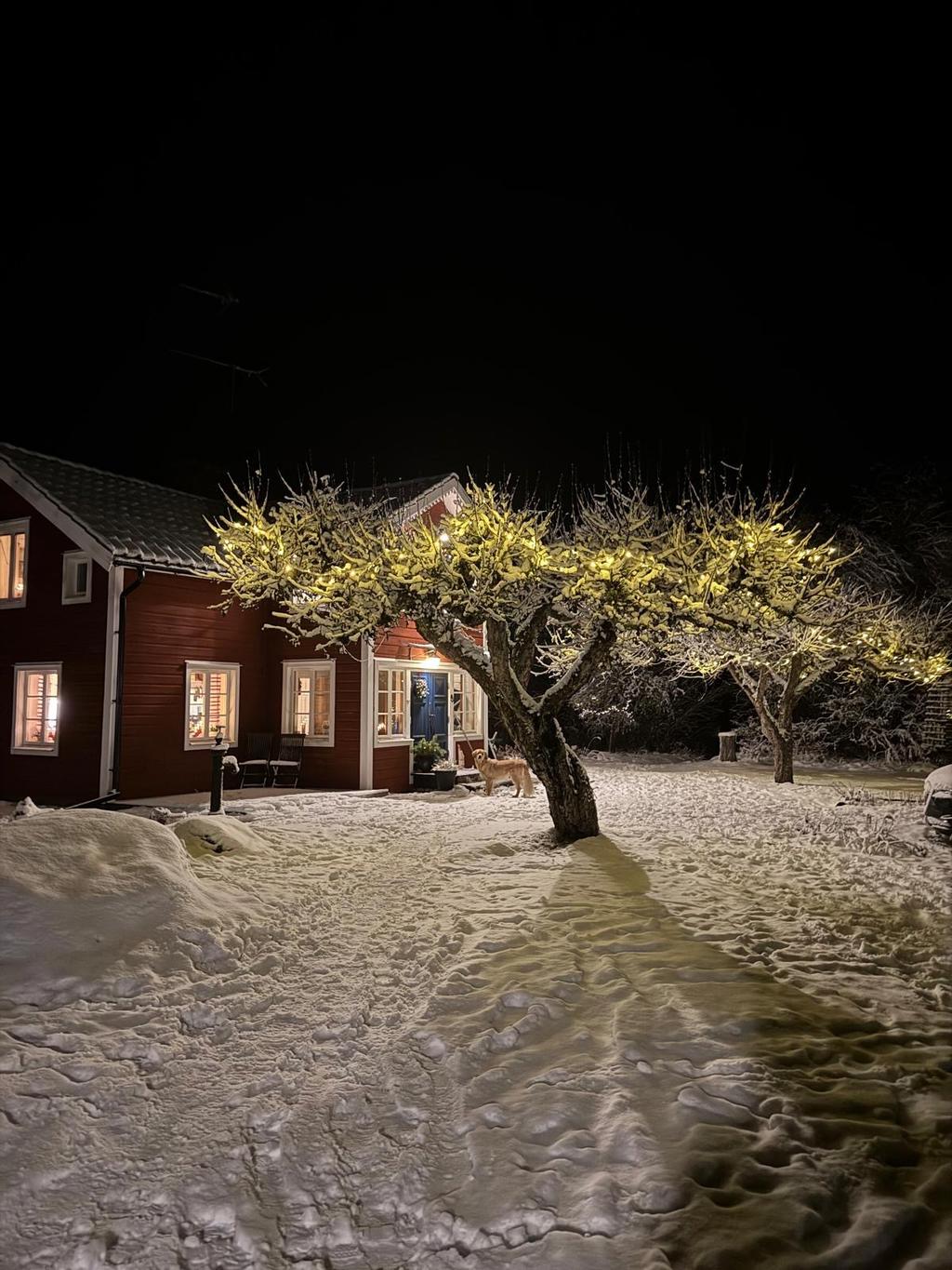 Säljarens privata bild.