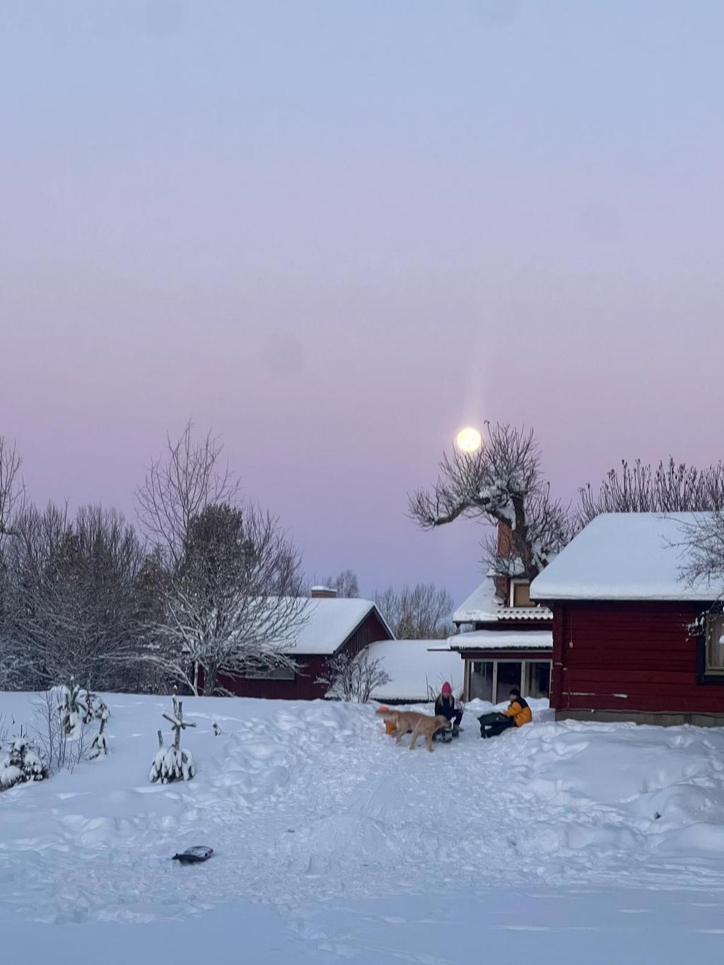 Säljarens privata bild.