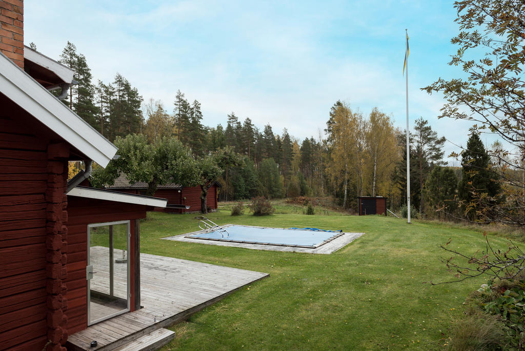 Trädgård.