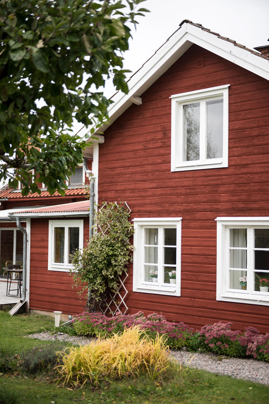 Del av trädgård.