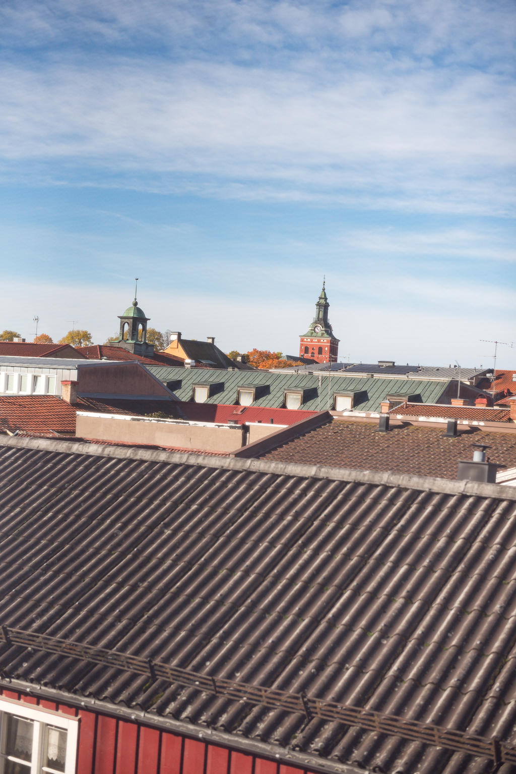 Vy över takåsarna.