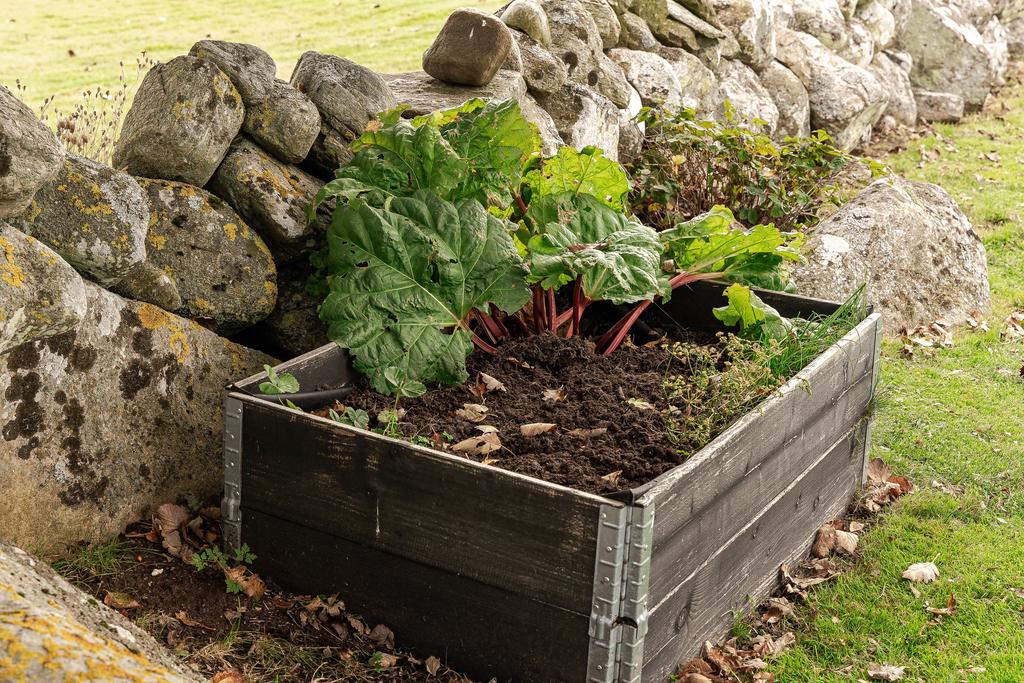 Här finns möjlighet till odling för den som önskar