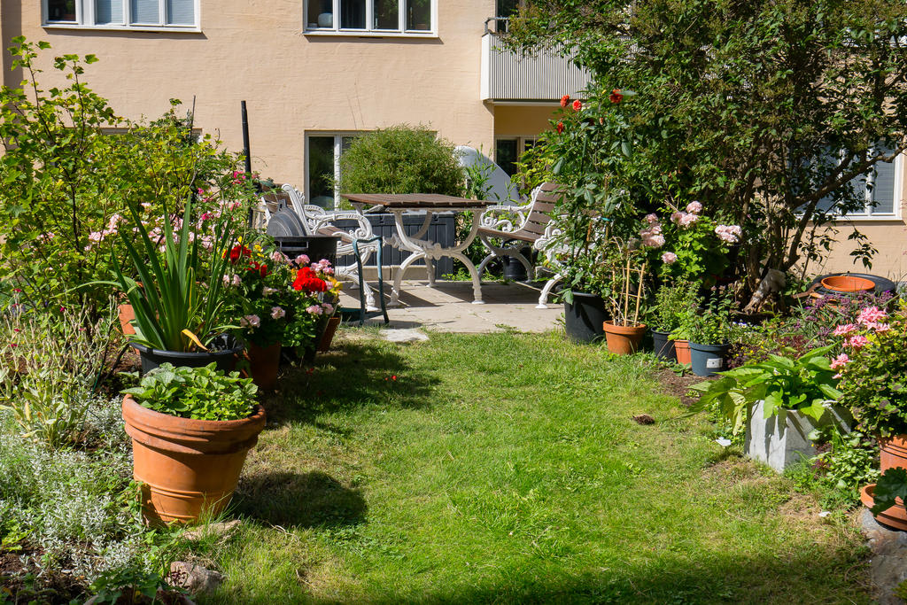Föreningens innergård