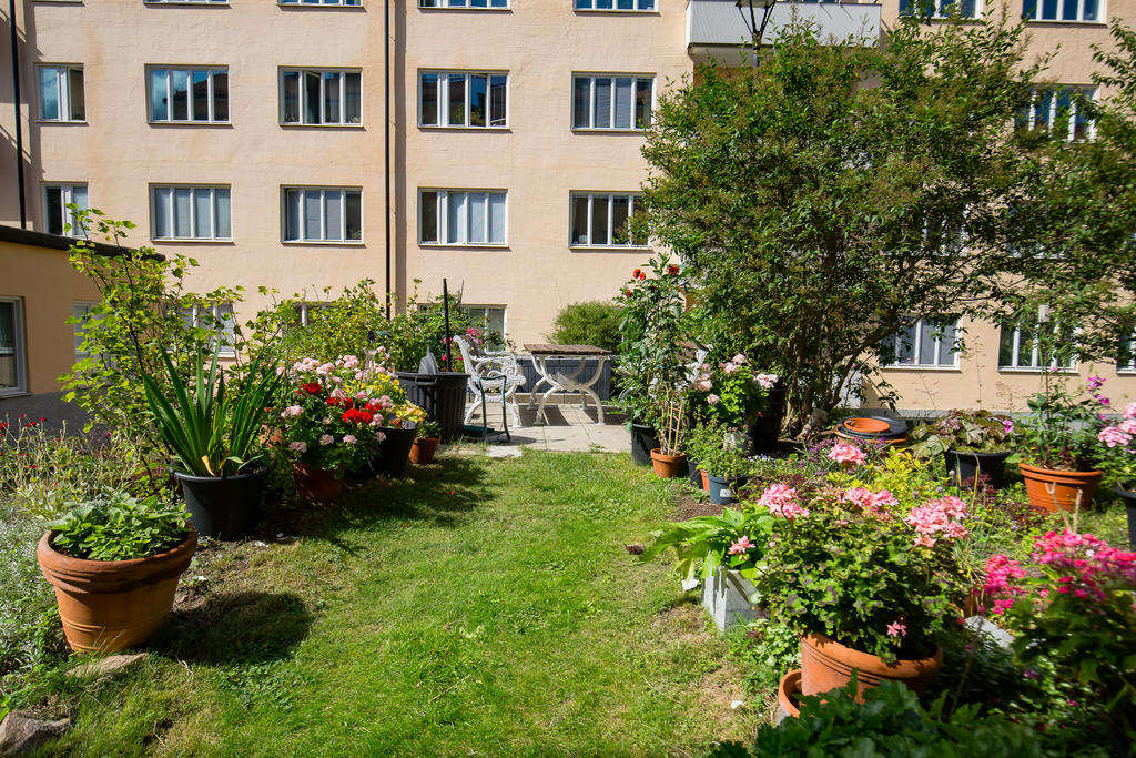 Föreningens innergård