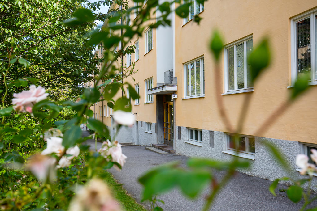 Föreningens innergård