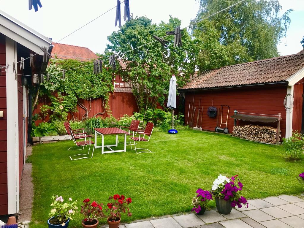 Grönskande innergård