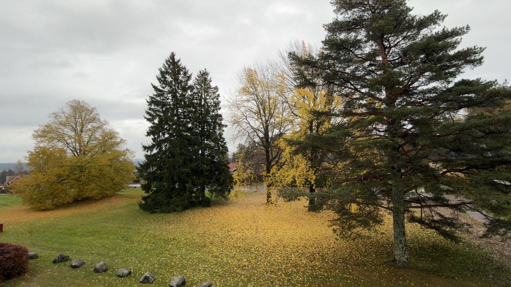 Säljarens bild