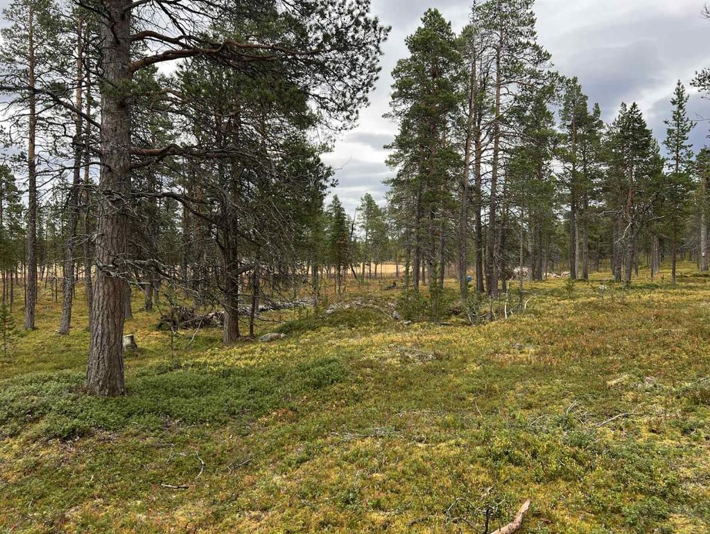 Bild 2 från Svensk Fastighetsförmedling