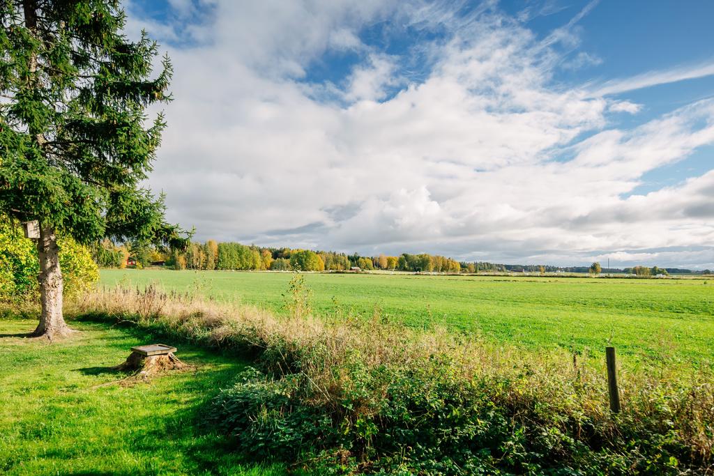 Härlig omgivning!