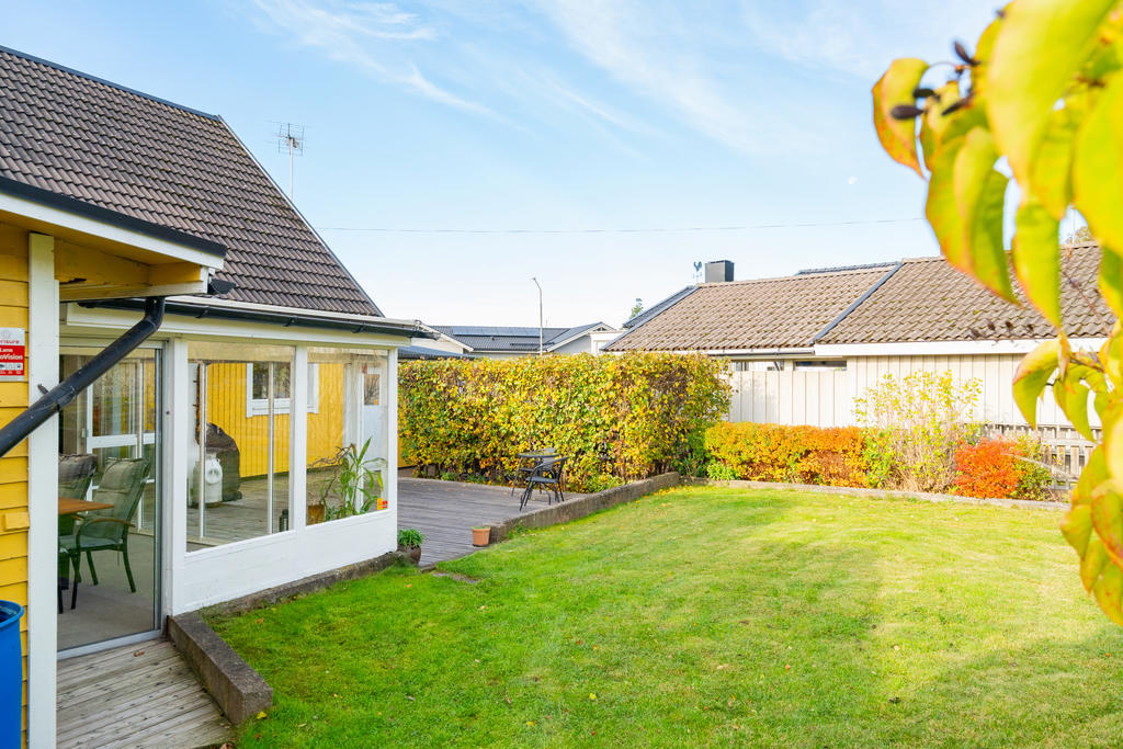 Insynsskyddat trädgård 