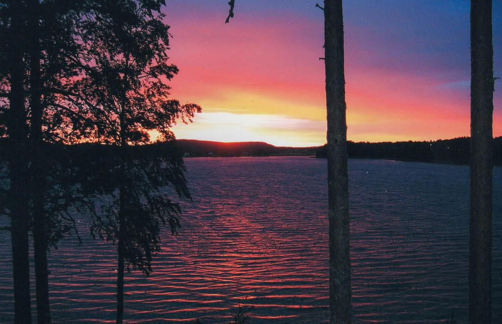 Säljarens egen bild