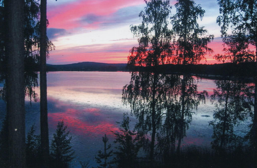 Säljarens egen bild