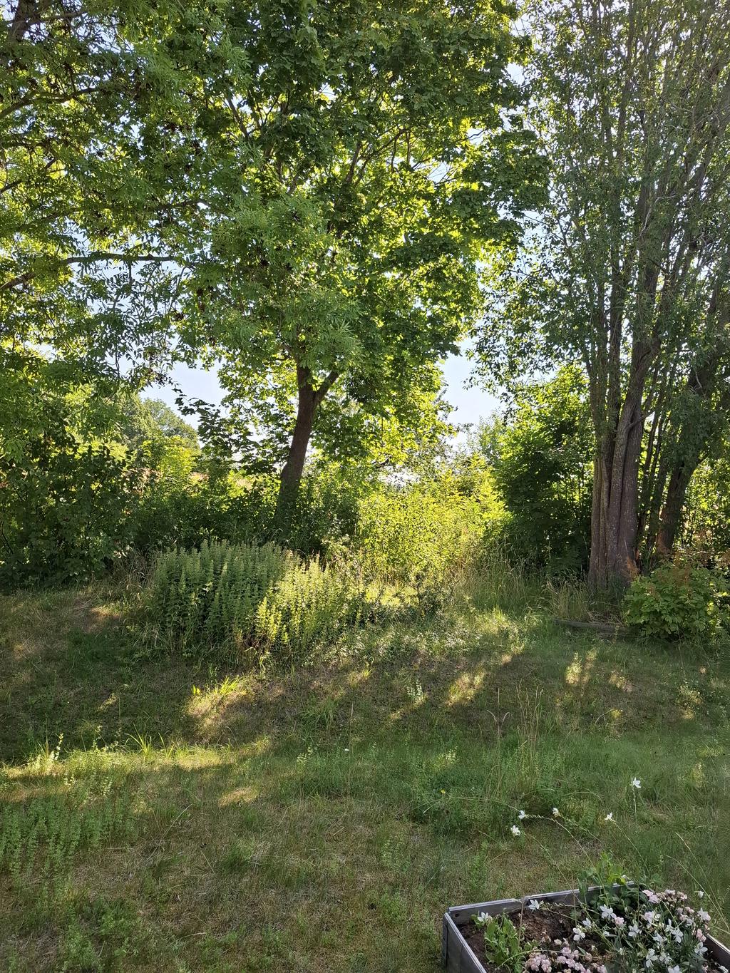 Säljarens sommarbild