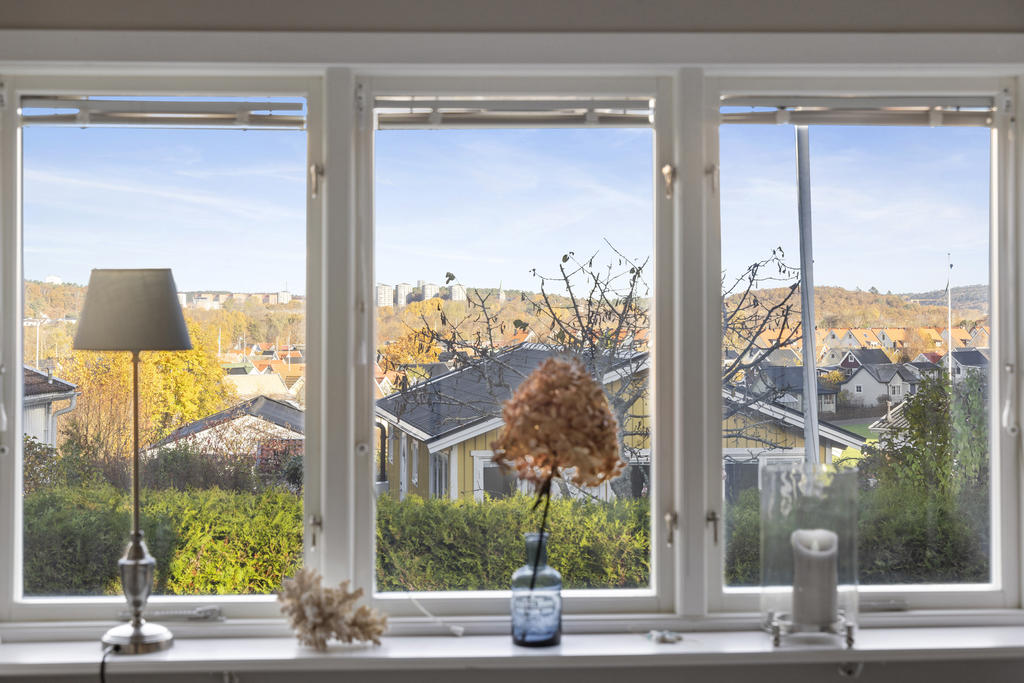 Rogivande utsikt från sovrummet