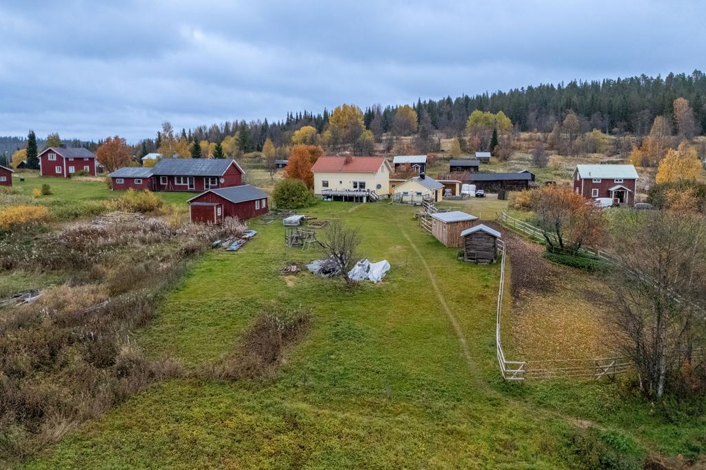 Stor tomt med betesmark och plats för djurhagar