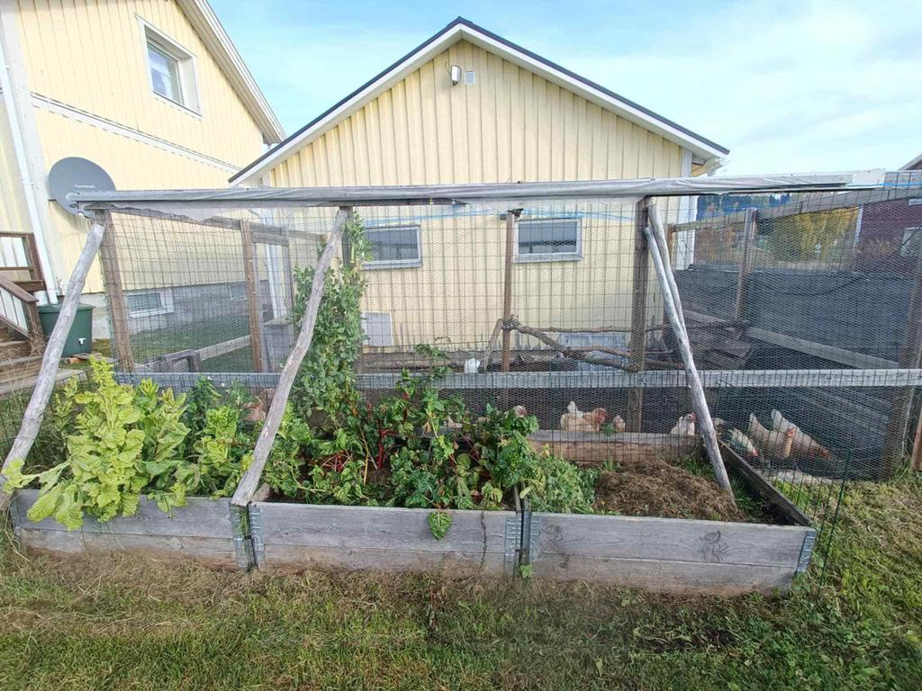 Säljarens egna bild