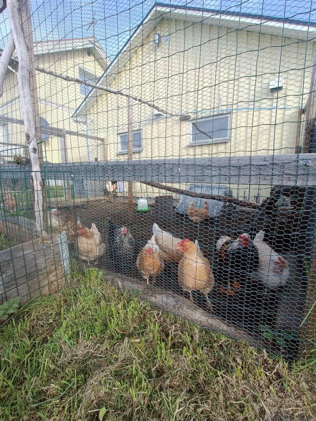 Säljarens egna bild