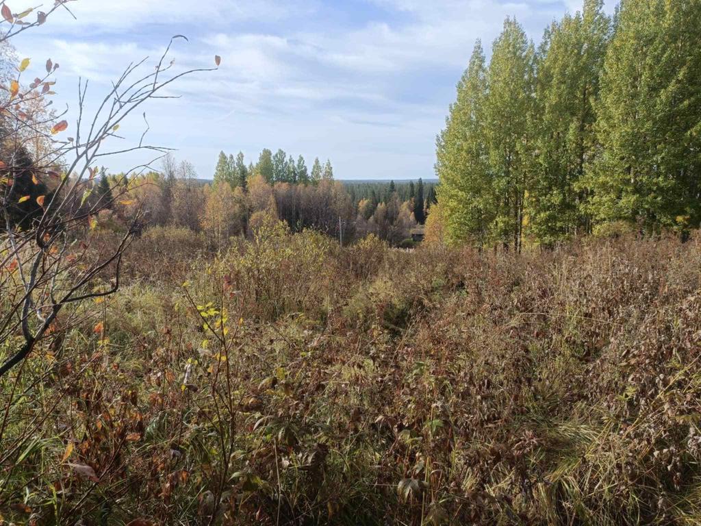 Säljarens egna bild. Betemsarker. Vy ner från tomten.