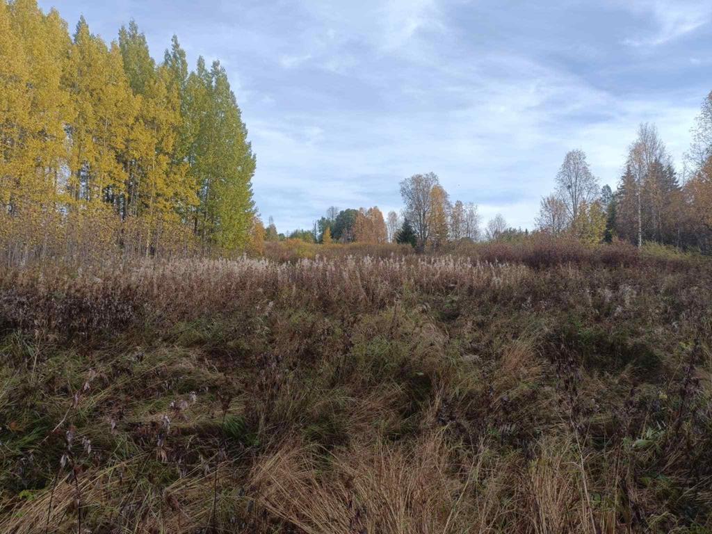 Säljarens egna bild. Betesmarker. Vy upp mot tomten. 