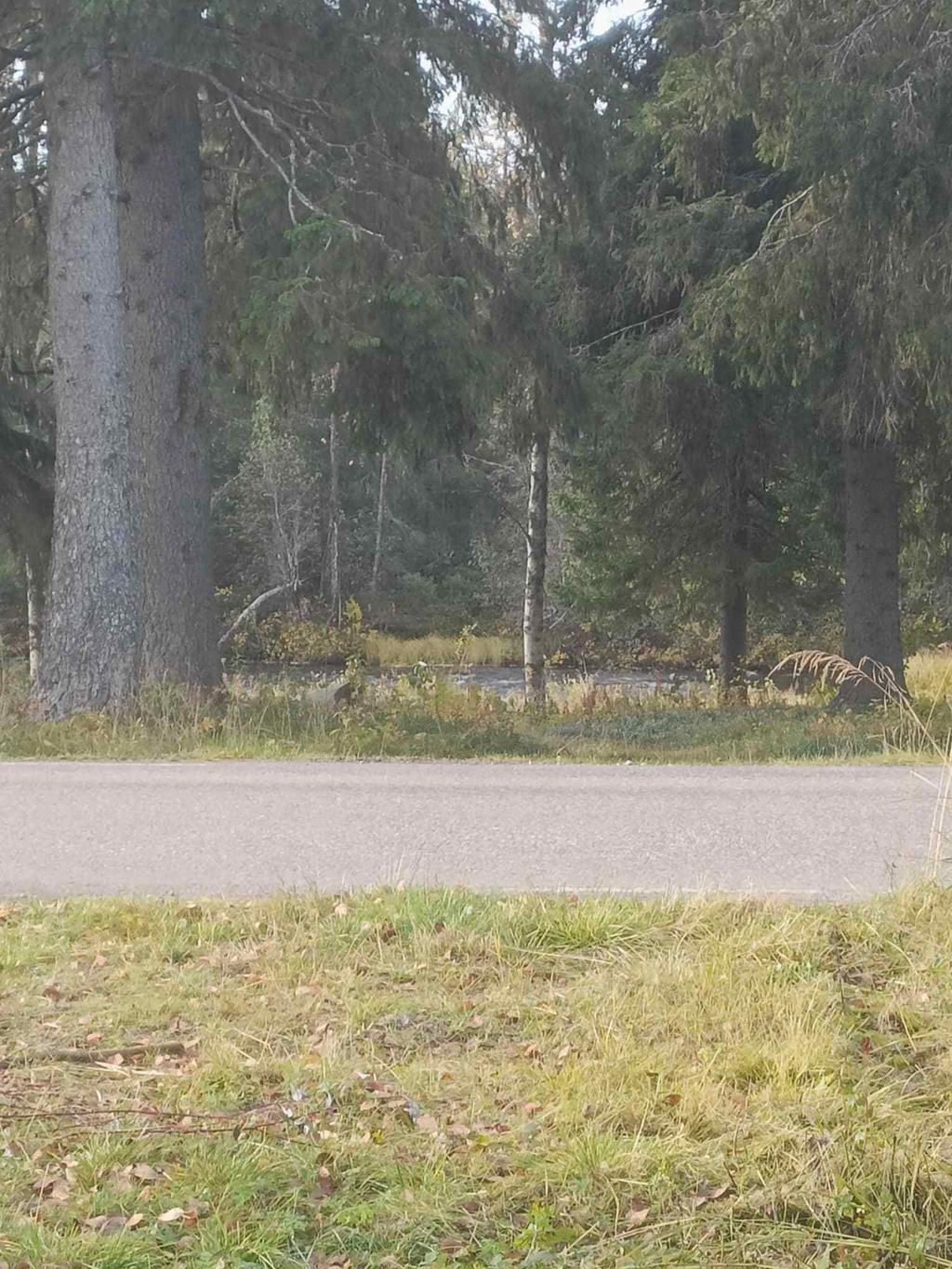 Säljarens egna bild. Vy från tomt ner mot bäcken. 