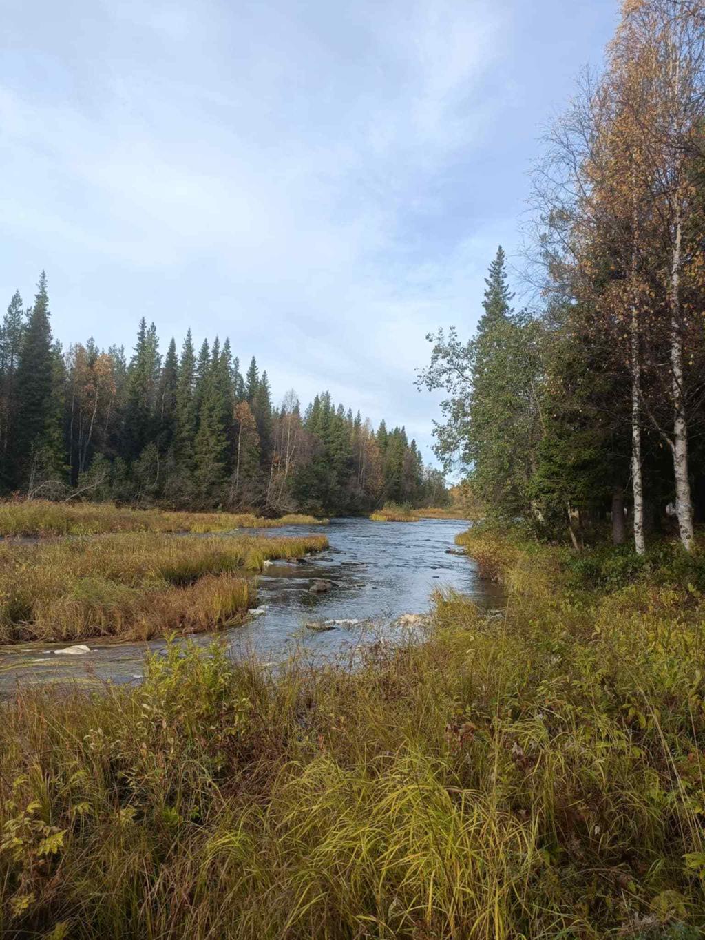 Säljarens egna bild. Tomten vid bäcken.