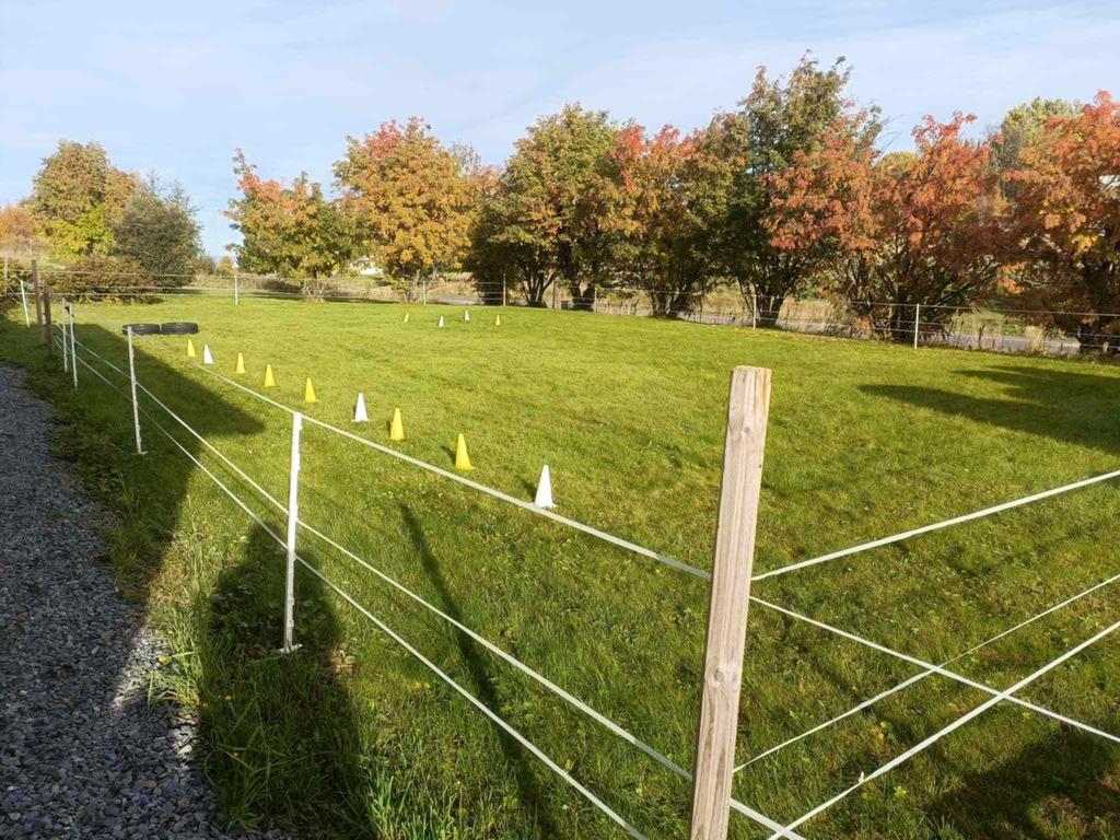 Säljarens egna bild