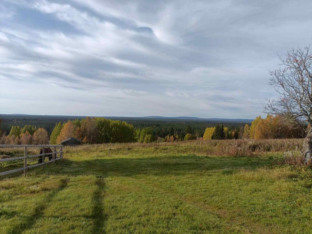 Säljarens egna bild