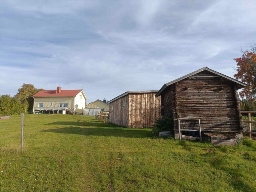 Säljarens egna bild