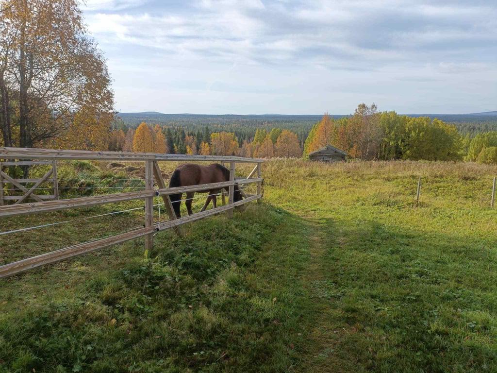 Säljarens egna bild