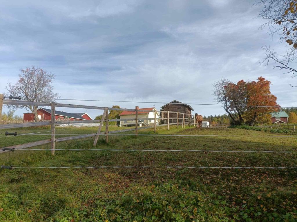 Säljarens egna bild. Rasthage/Vinterhage