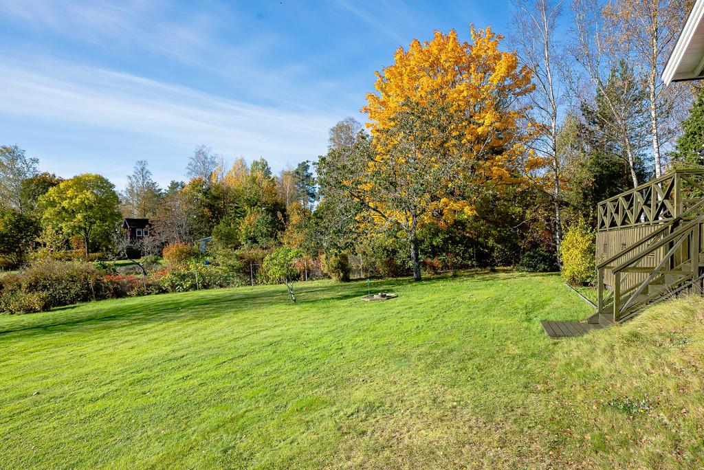 Fina och soliga lekytor