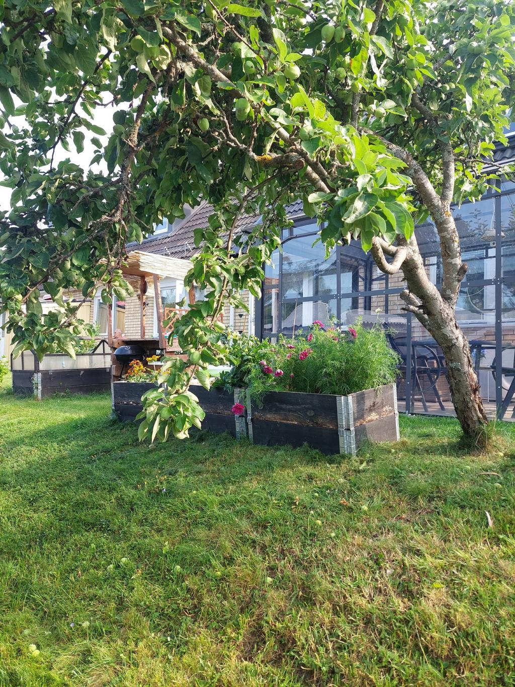 Säljares bild trädgård