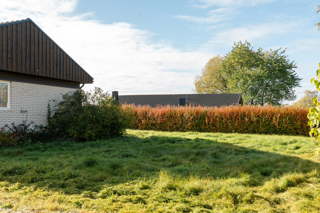 Trädgård
