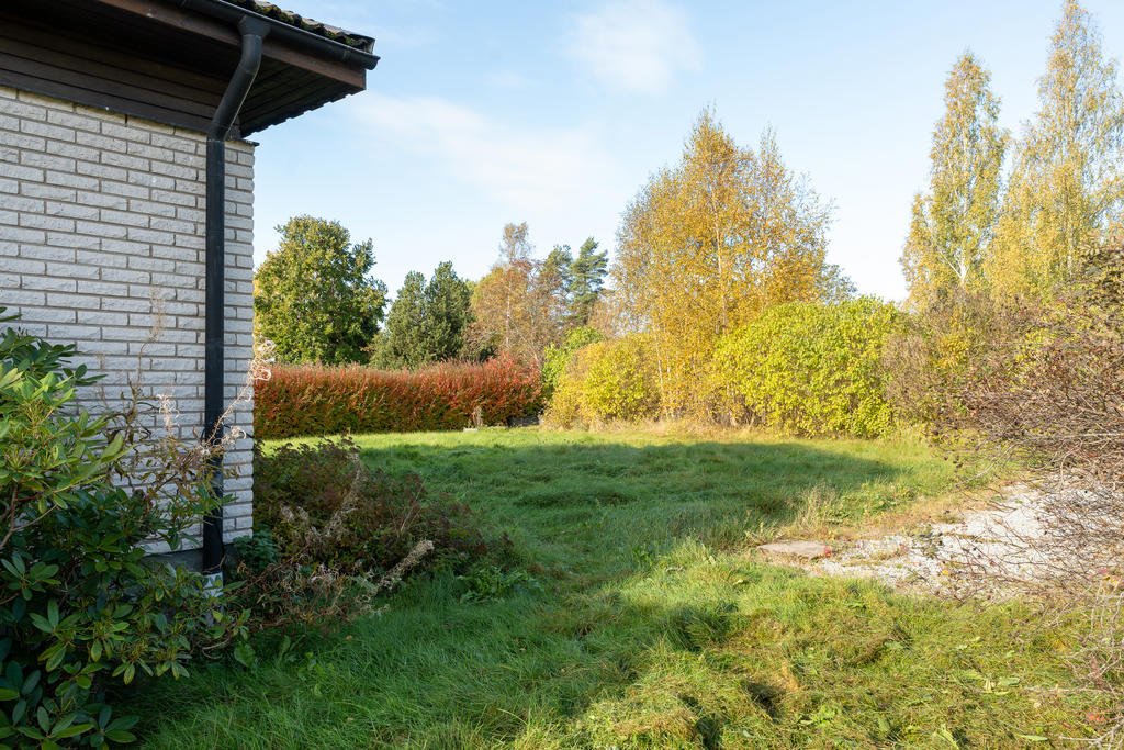 Trädgård
