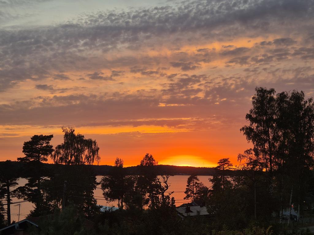 Säljarnas bild