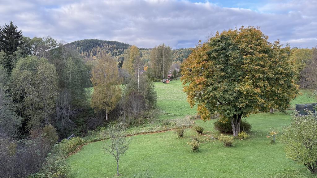 Säljarens egna höstbild