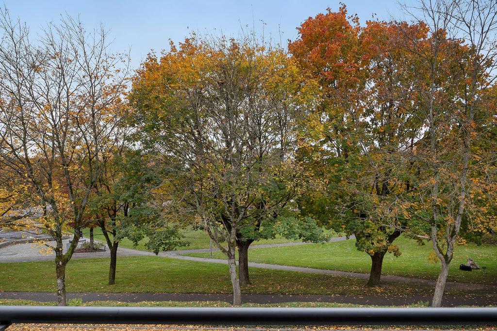 Utsikt från balkongen 