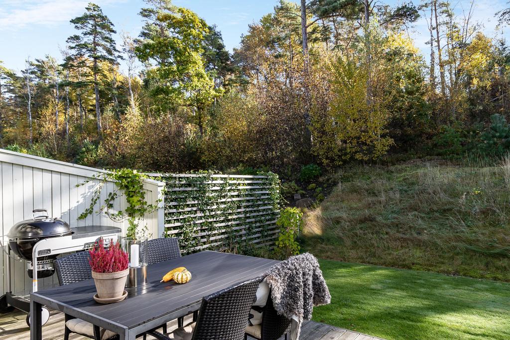 Här skyddar skogen från insyn och skapar en privat känsla