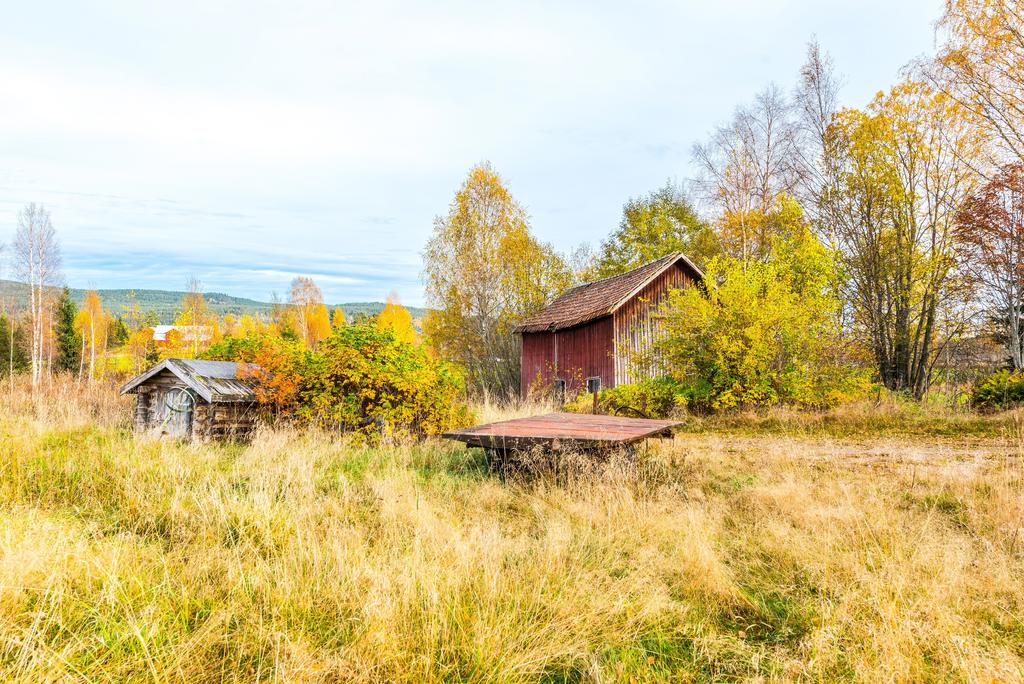 Exteriör