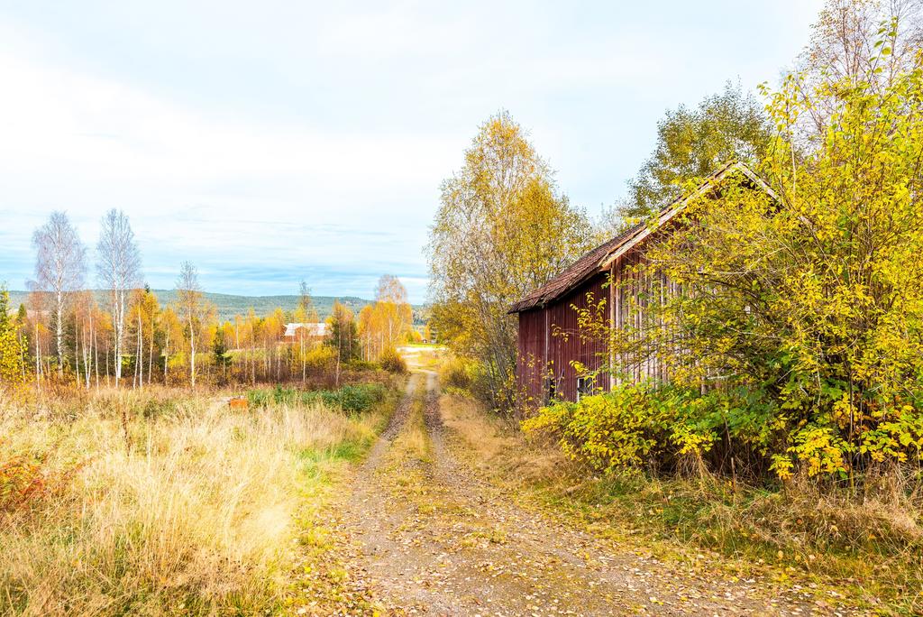 Exteriör