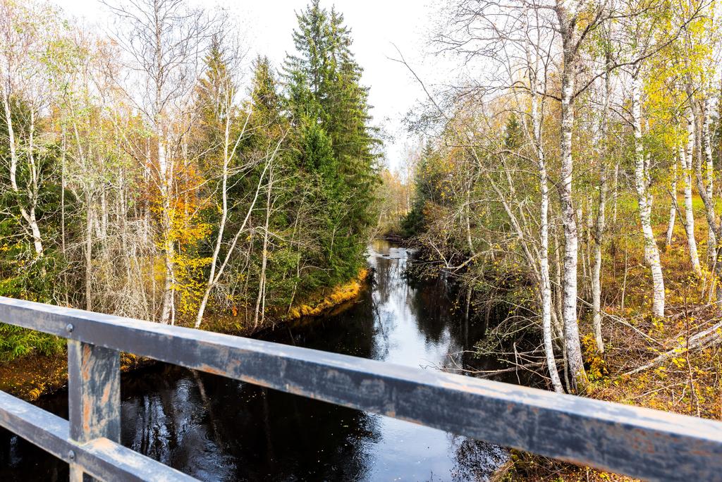 Mangslidälven