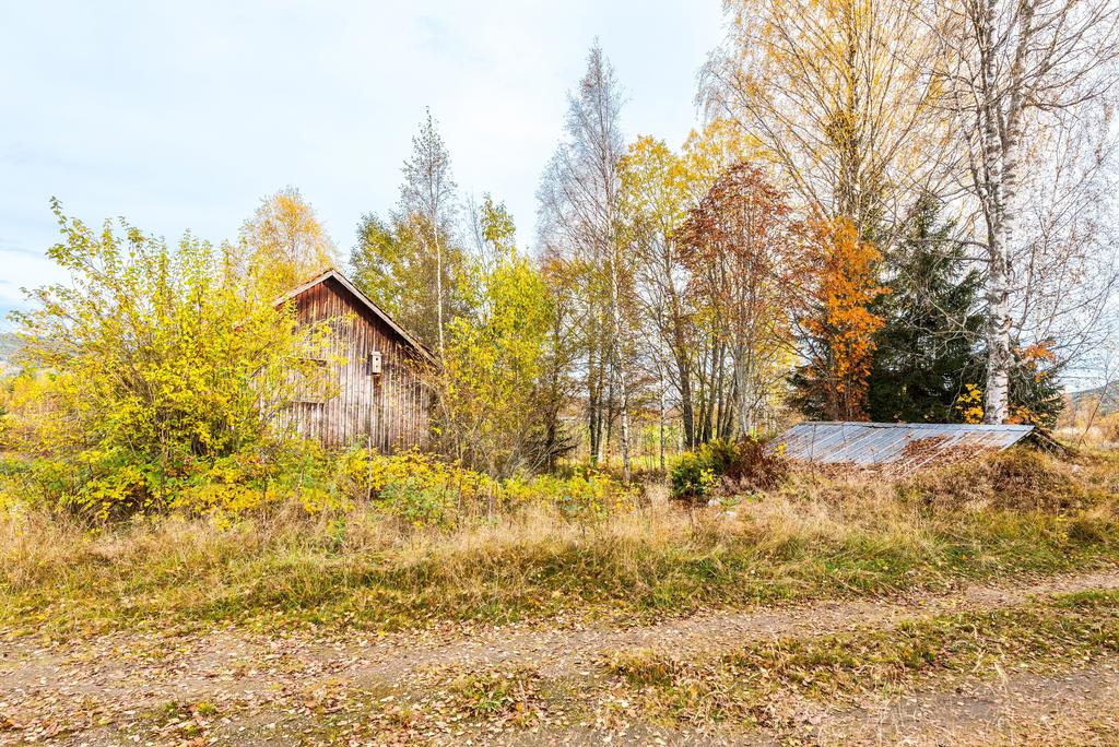 Exteriör