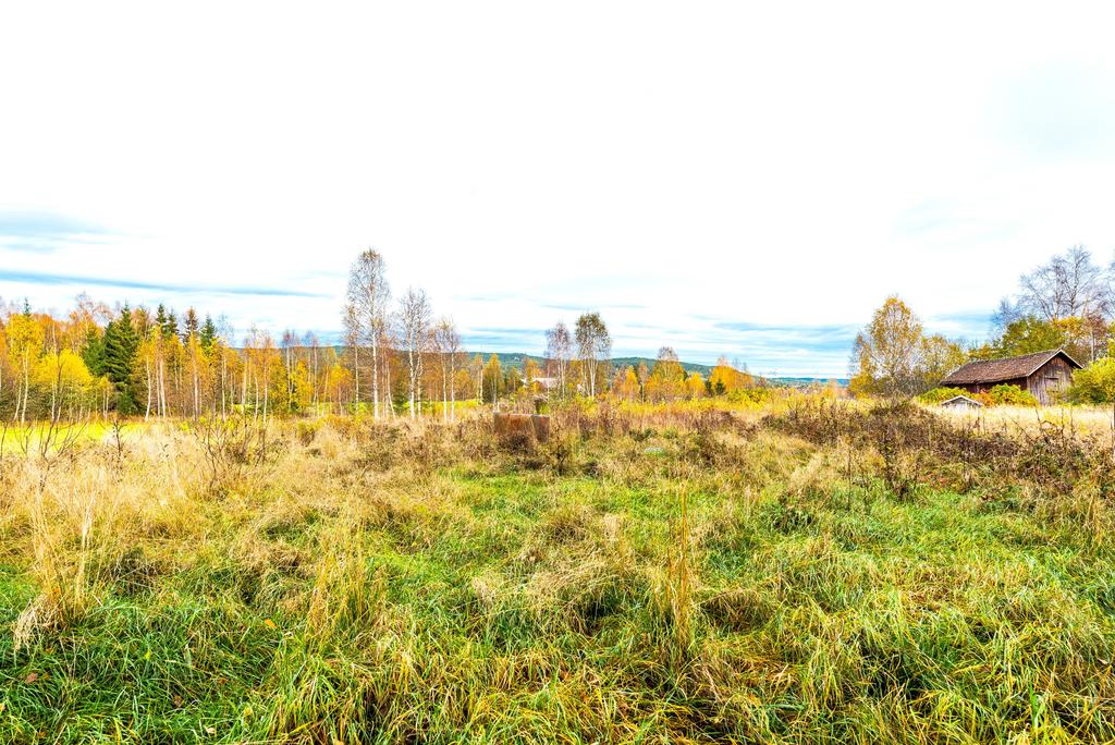 Tomt där huset tidigare stod