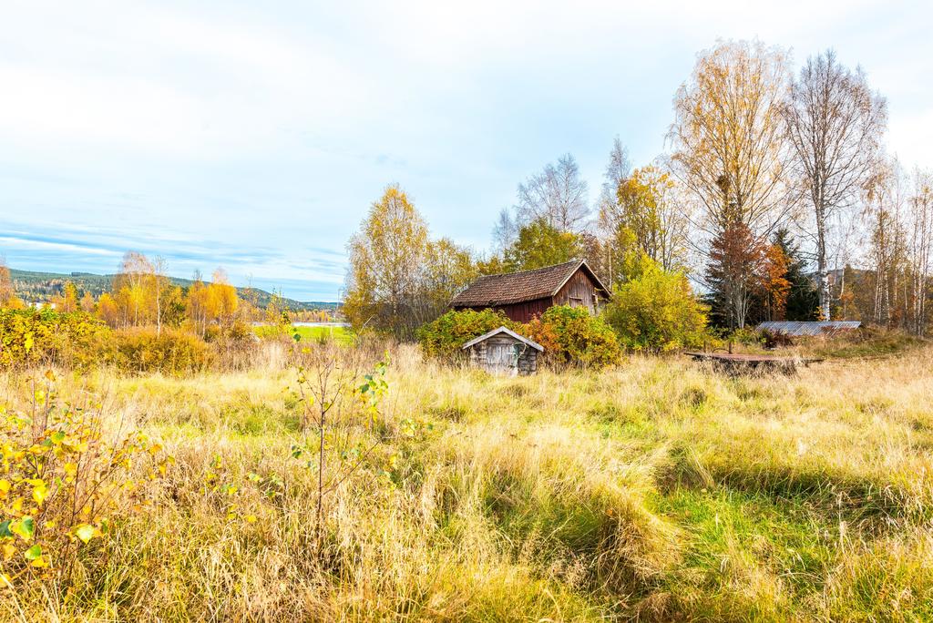 Tomt där huset tidigare stod