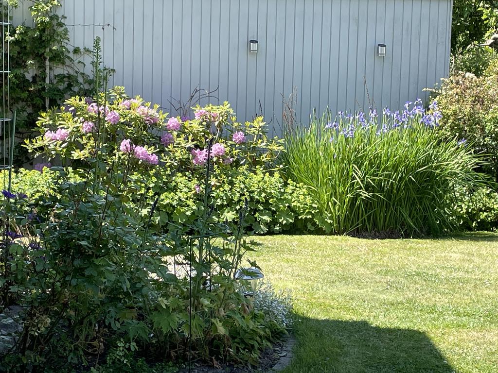 Säljarens egen sommarbild