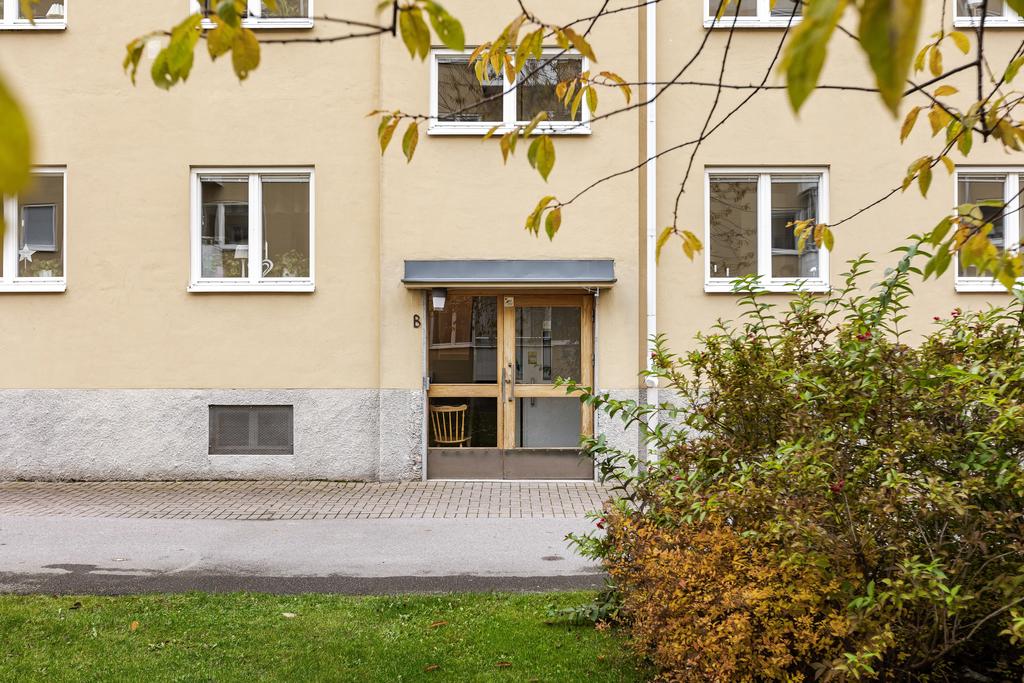 Välkommen till Petter Swartzgatan!