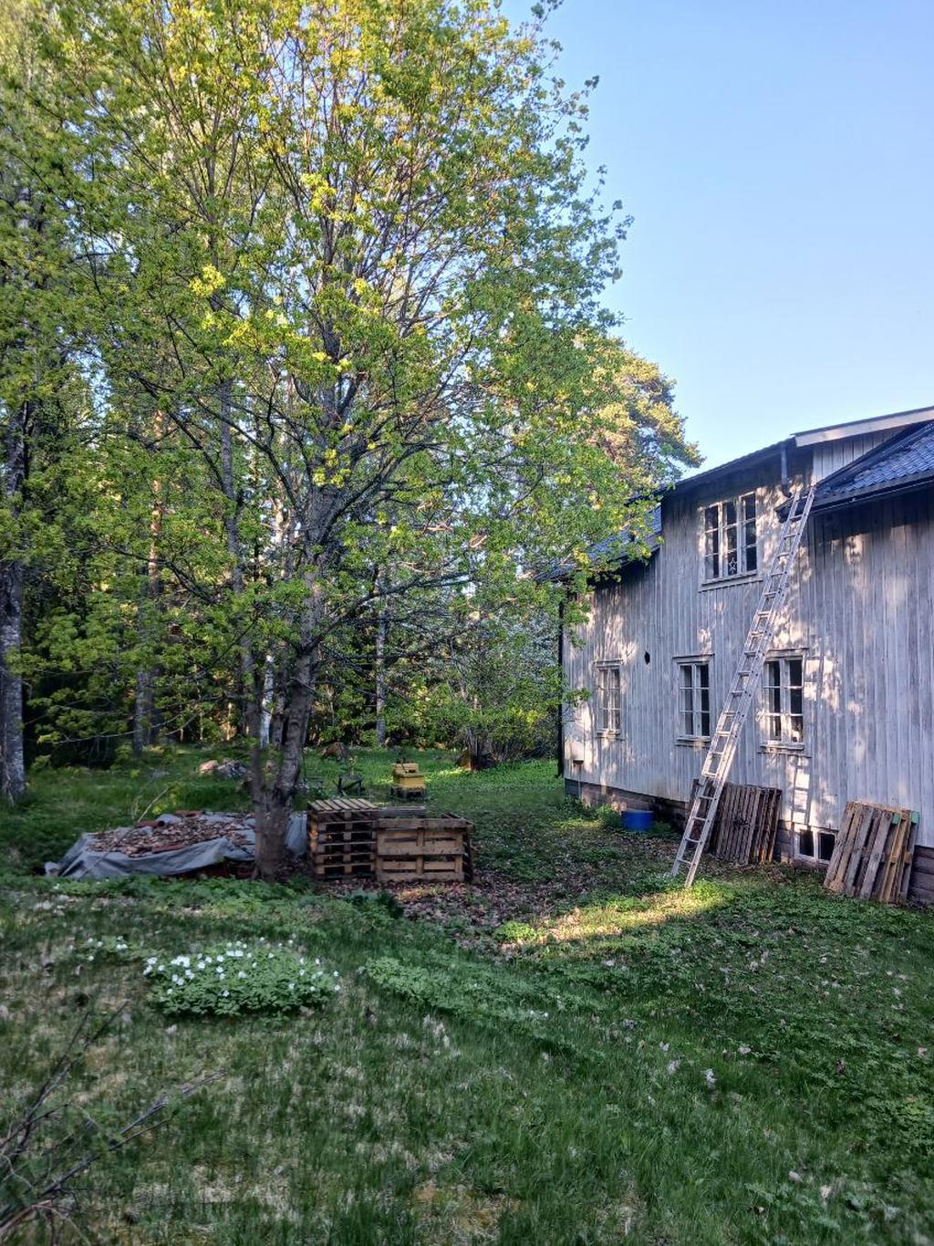 Säljarens egna vår och sommarbilder
