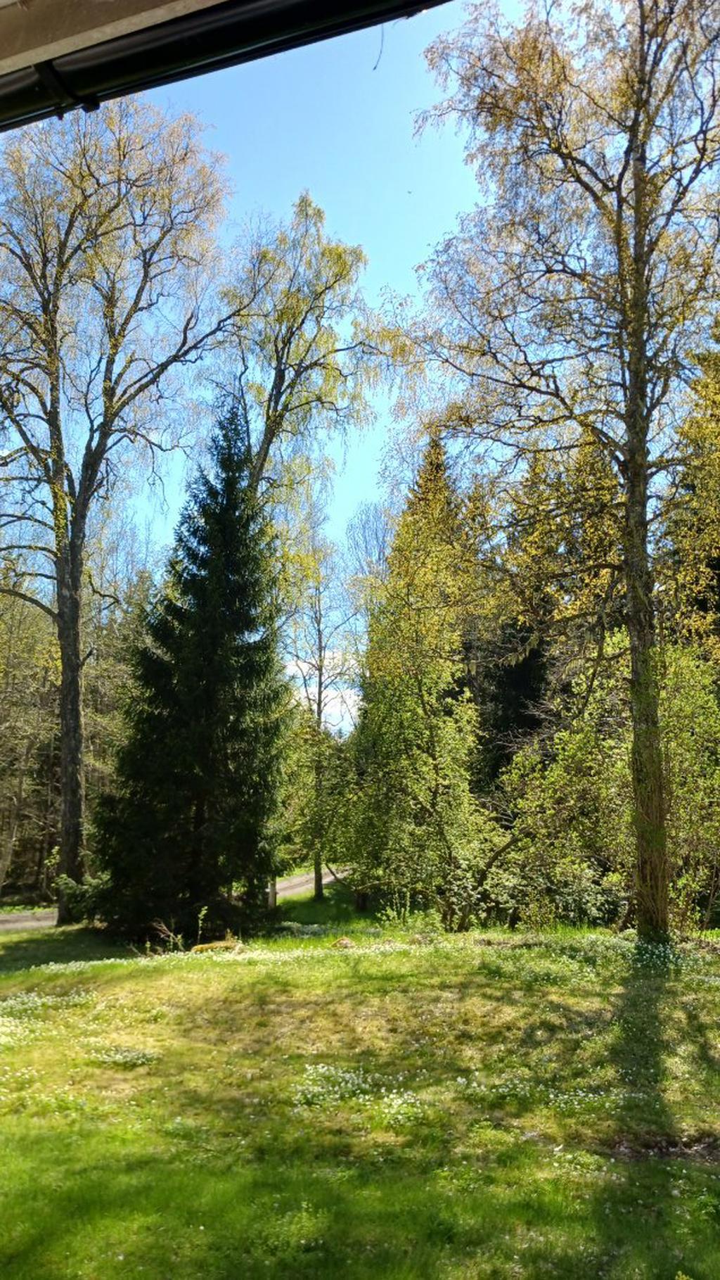 Säljarens egna vår och sommarbilder