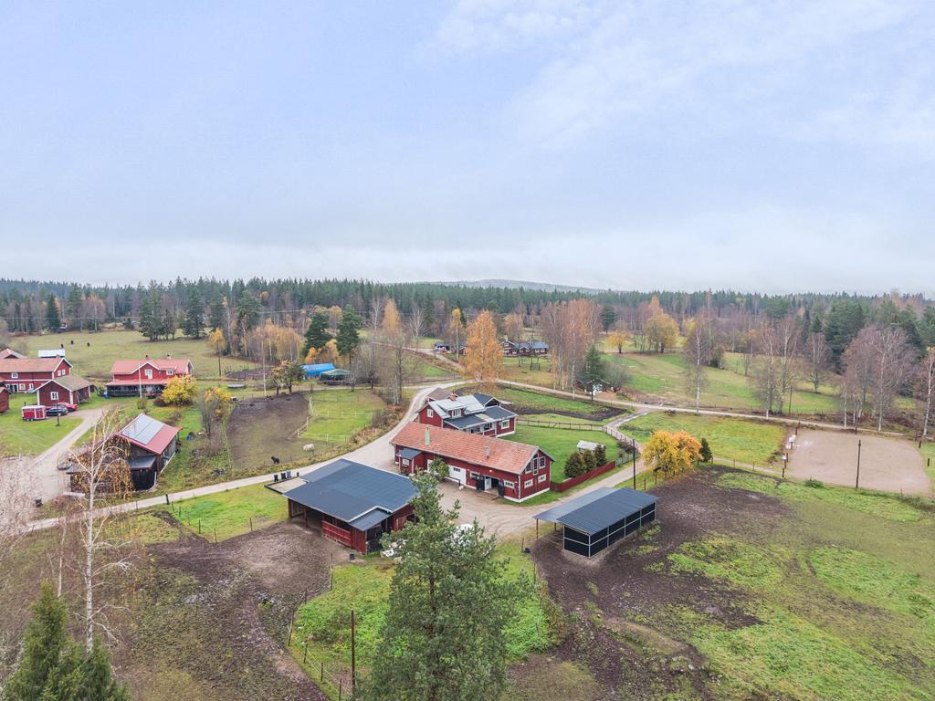 På gården finns ytterligare fyra boxar i form av uteboxar. 